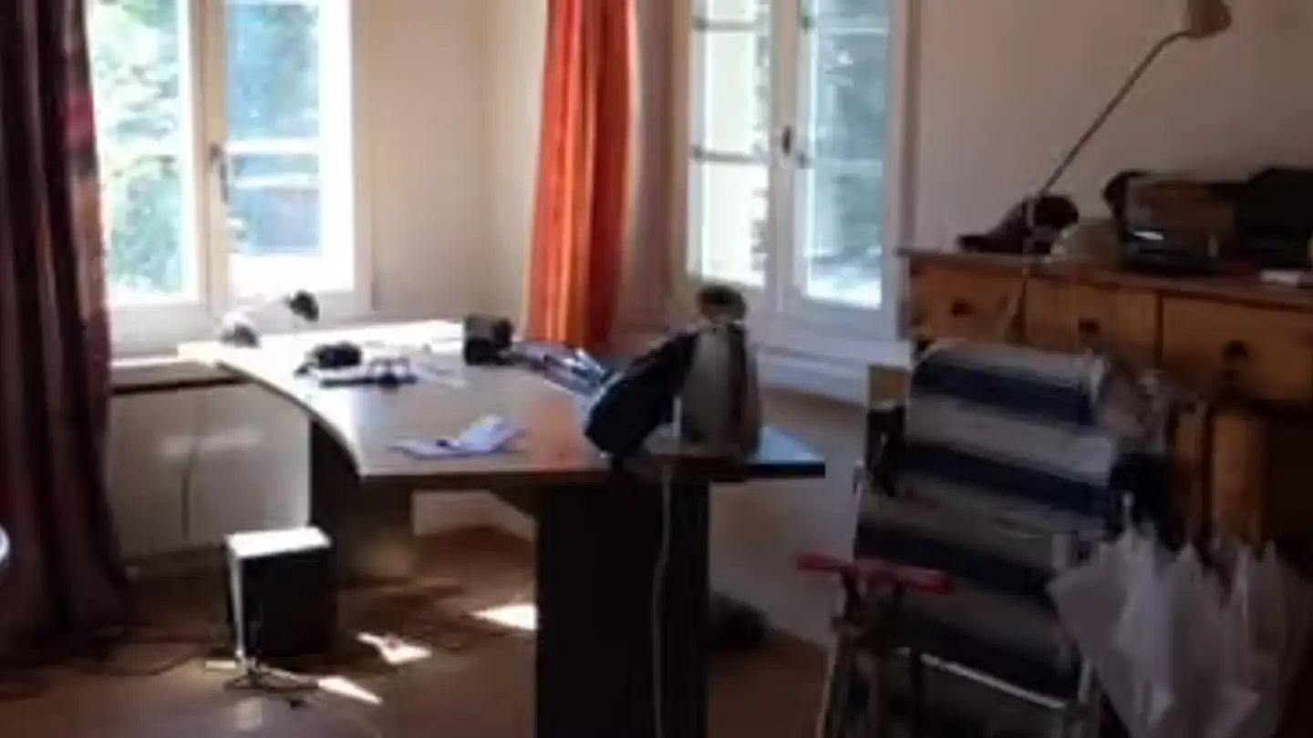 Penthouse for rent - 8488 Turbenthal - Photo 4