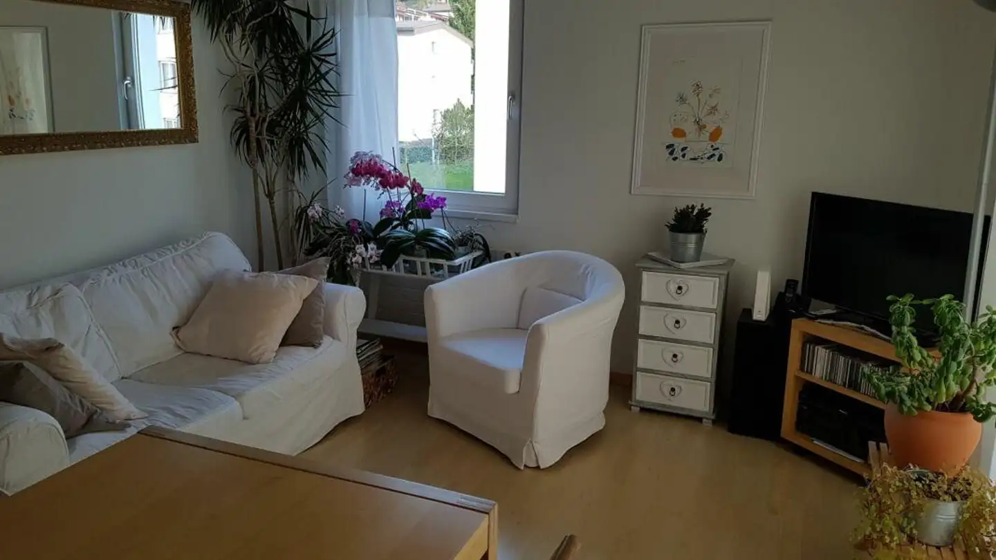 Appartement à louer - Höflistrasse 1, 6030 Ebikon - Photo 3