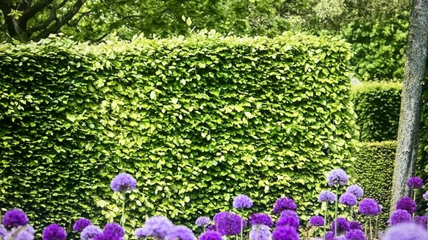 Single room for rent - Talackerstrasse, 4153 Reinach BL - Photo 3