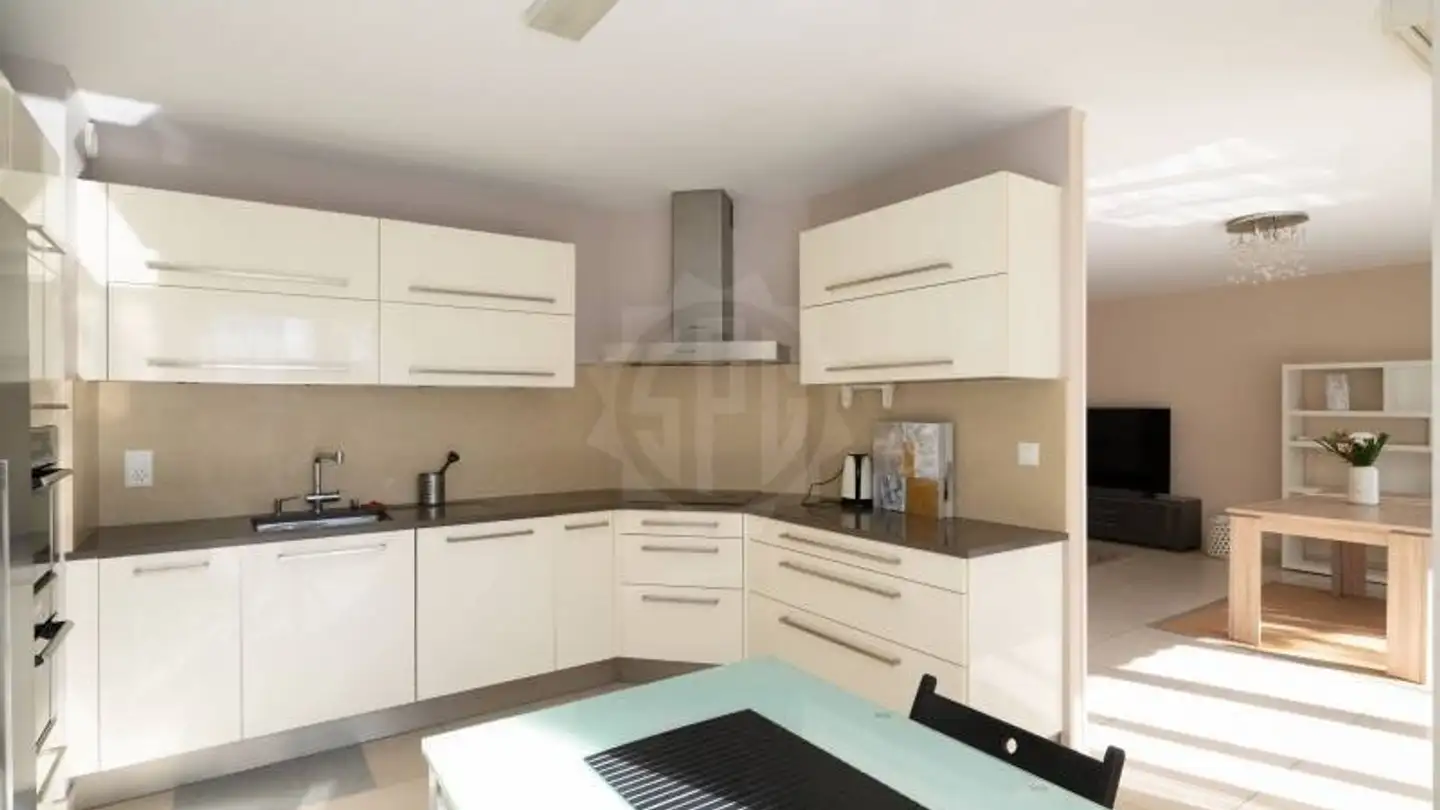 Appartamento in affitto - Chemin De L' Ecu 11c, 1219 Châtelaine - Foto 2