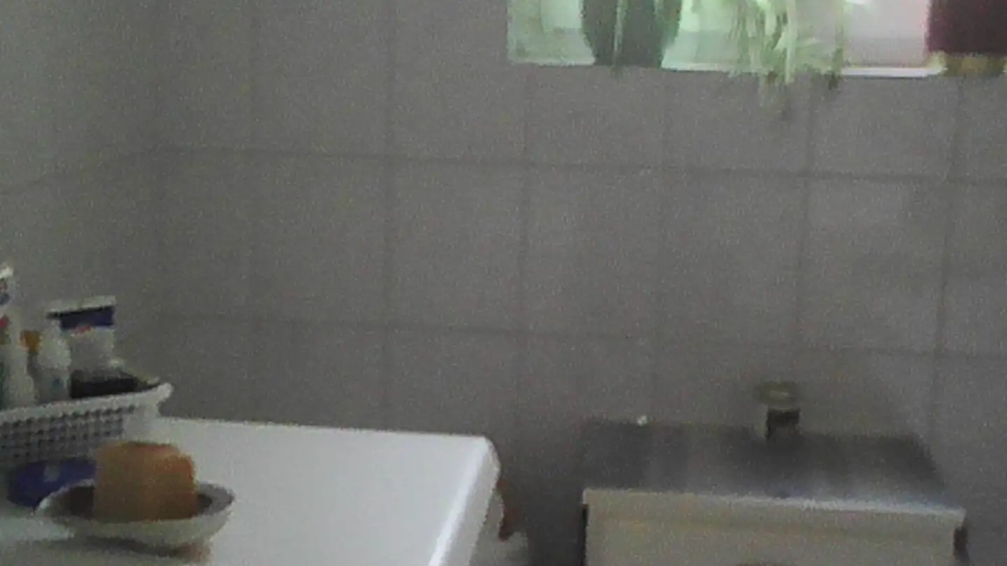 Apartment for rent - Via Borsatt 3, 6965 Cadro - Photo 4