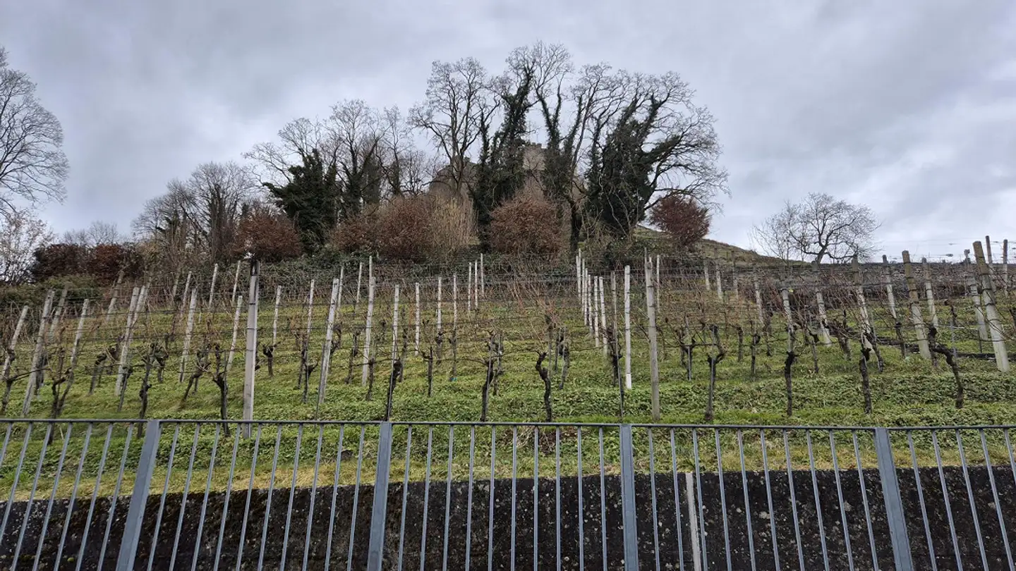 Apartment for sale - 5600 Lenzburg - Photo 2