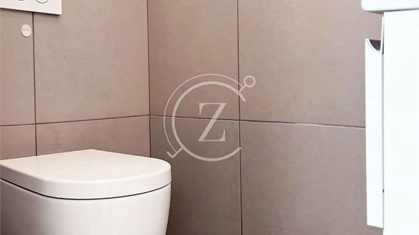 Negozio in vendita - Strada Regina, 6982 Agno - Photo 3