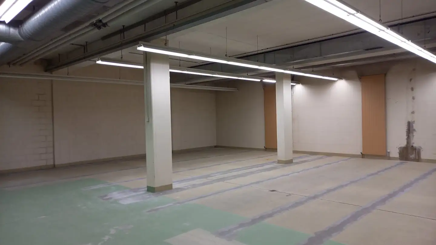 Cantina divisa in affitto - Via Trevano 73, 6900 Lugano - Photo 3