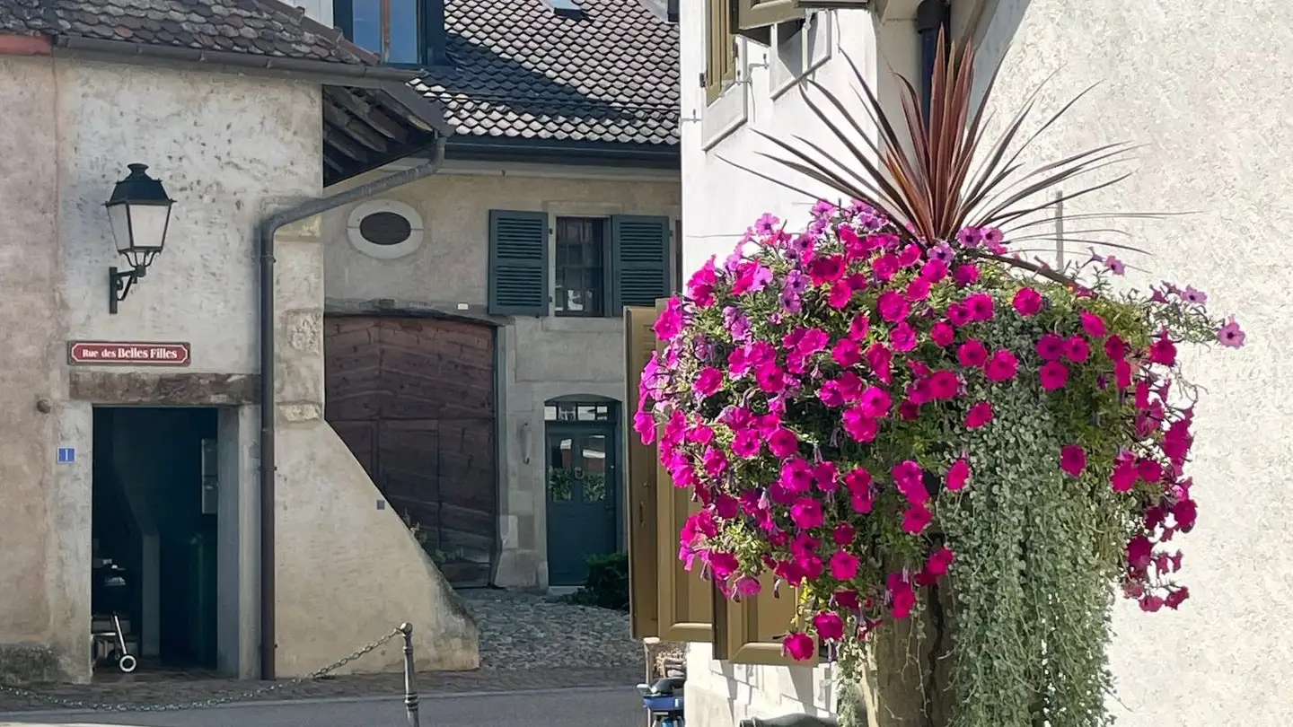 Studio for rent - 1299 Crans-près-Céligny