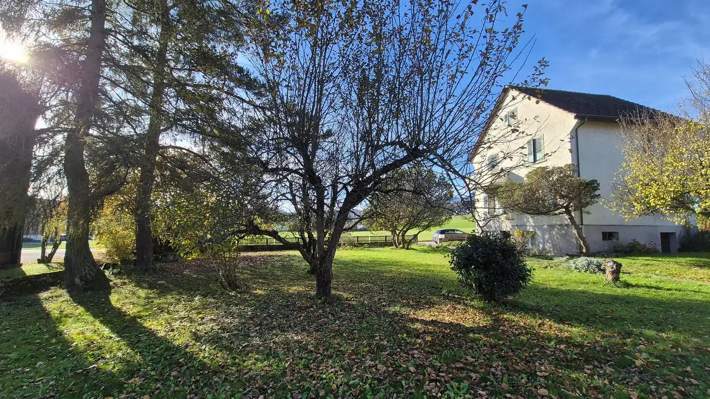 Einfamilienhaus kaufen - Wallierhofstrasse 16, 4533 Riedholz