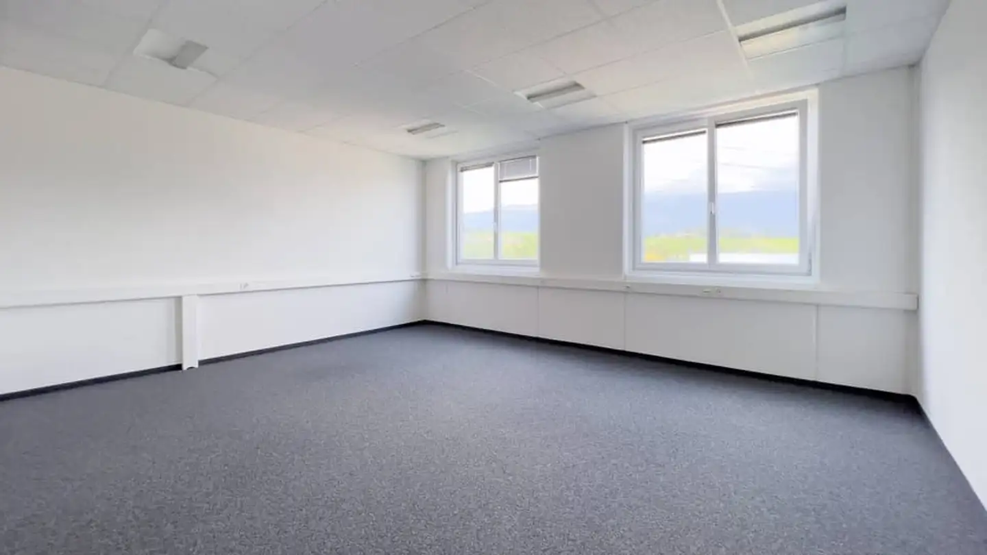 Commercial à louer - Rue Du Pré-De-La-Fontaine 19, 1242 Satigny - Photo 3