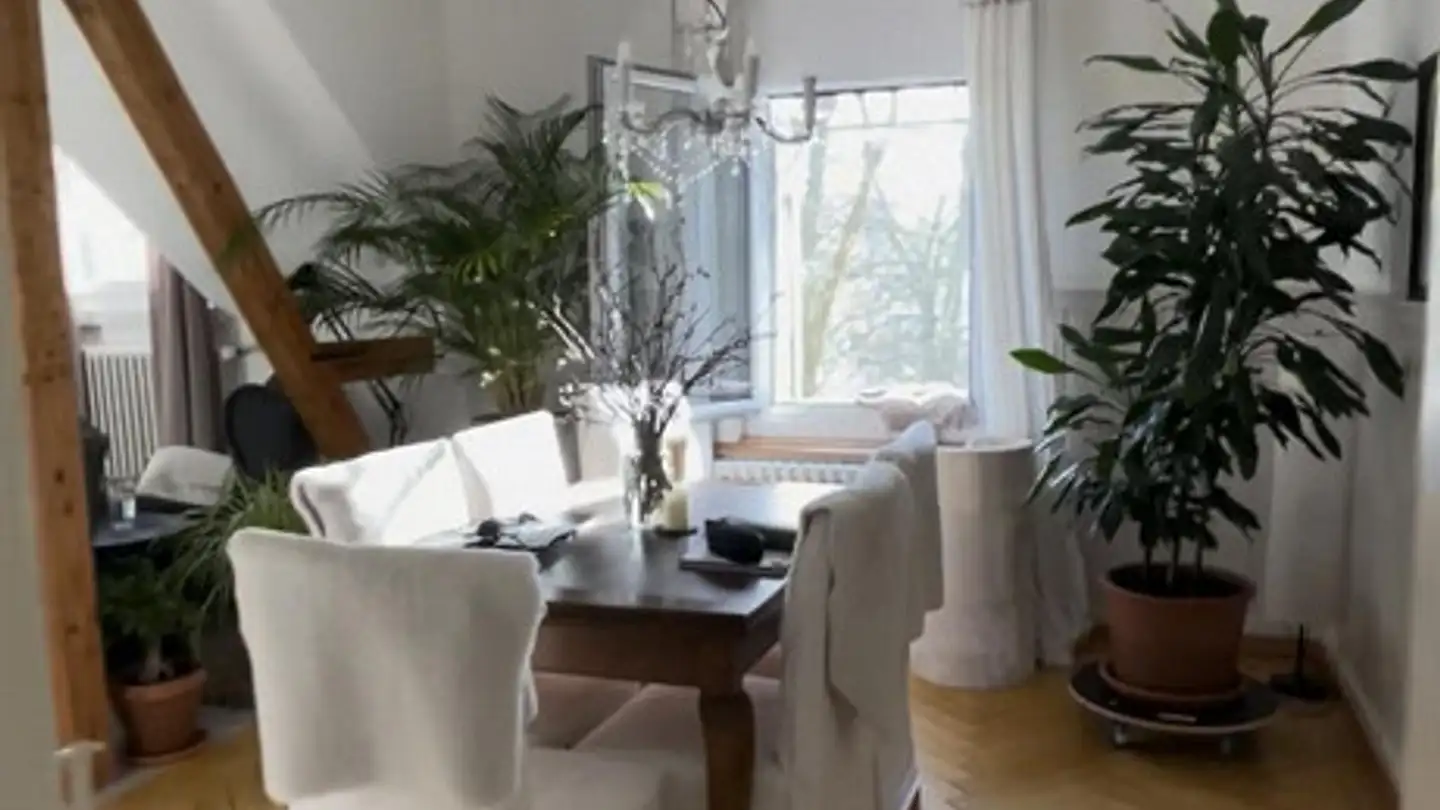 Penthouse for rent - Fidesstrasse 10, 9000 St. Gallen - Photo 2