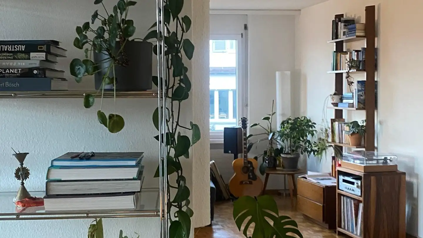 Stanza singola in affitto - 8006 Zürich