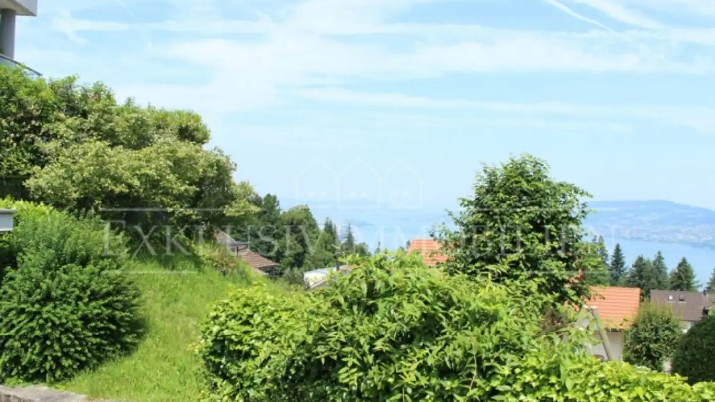 Geschäft kaufen - 8835 Feusisberg