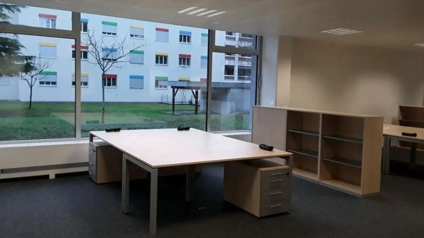 Spazio ufficio in affitto - Chemin Ami- Argand 9, 1290 Versoix - Foto 4