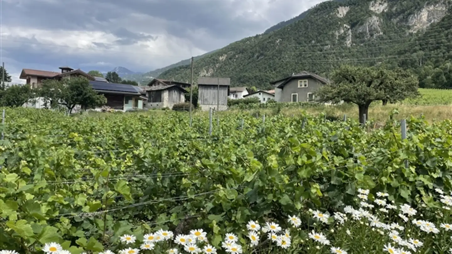 Appartamento in vendita - 3979 Grône - Photo 3