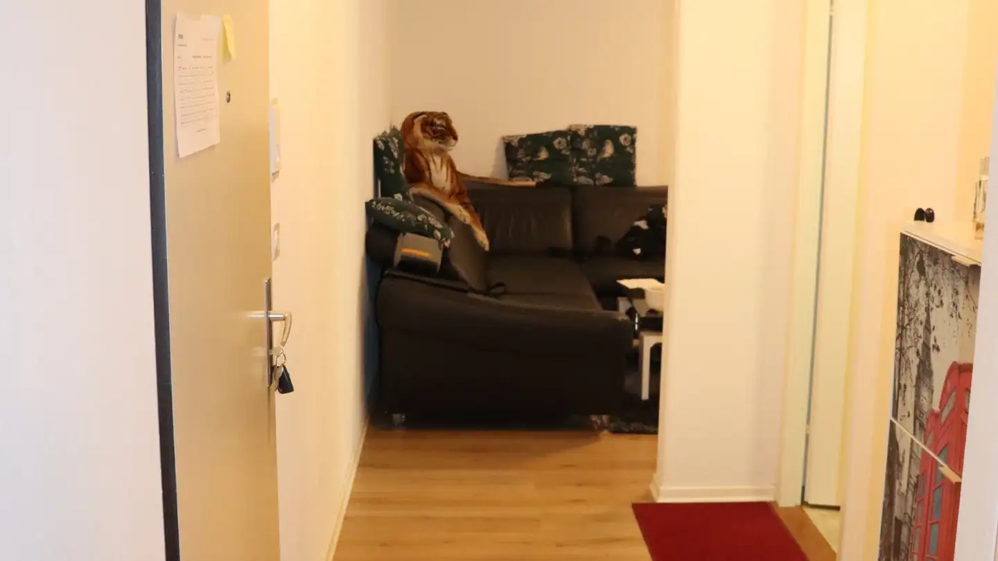 Apartment for sale - Im Zentrum 5, 8604 Volketswil - Photo 2