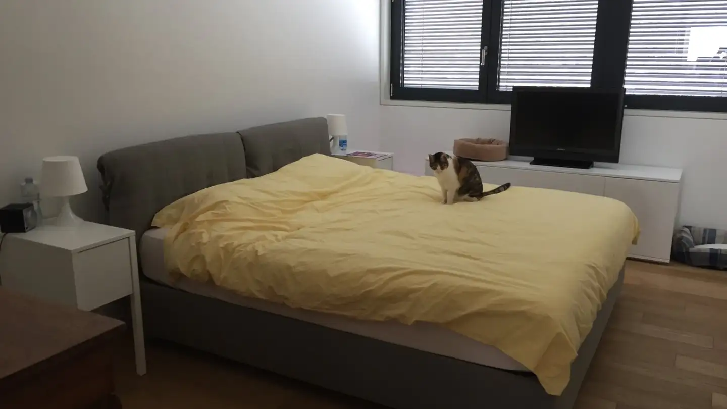 Apartment for rent - Via Mario Chiattone 20, 6954 Bigorio - Photo 3