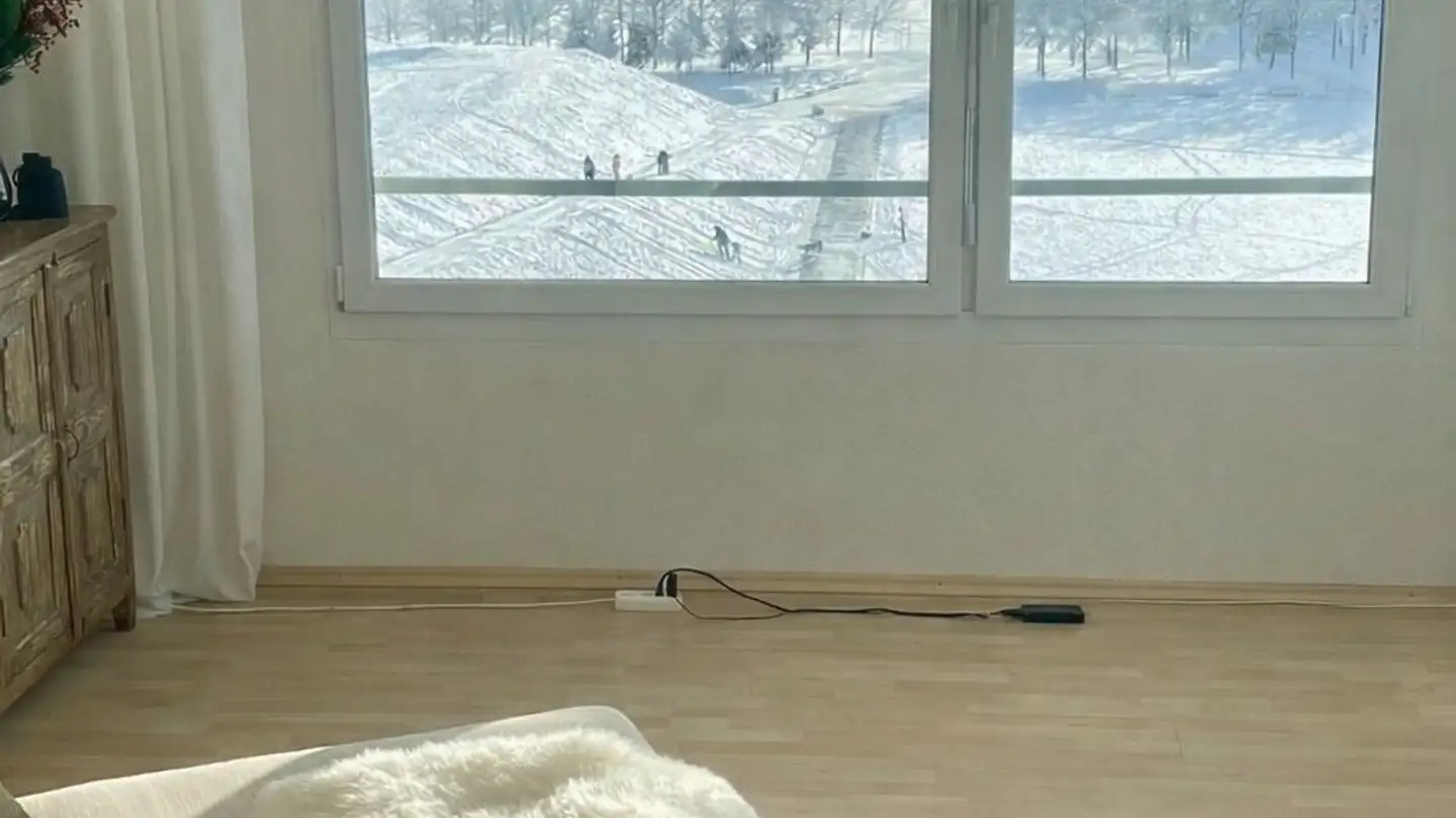 Attico in affitto - 8152 Glattpark (Opfikon) - Foto 4