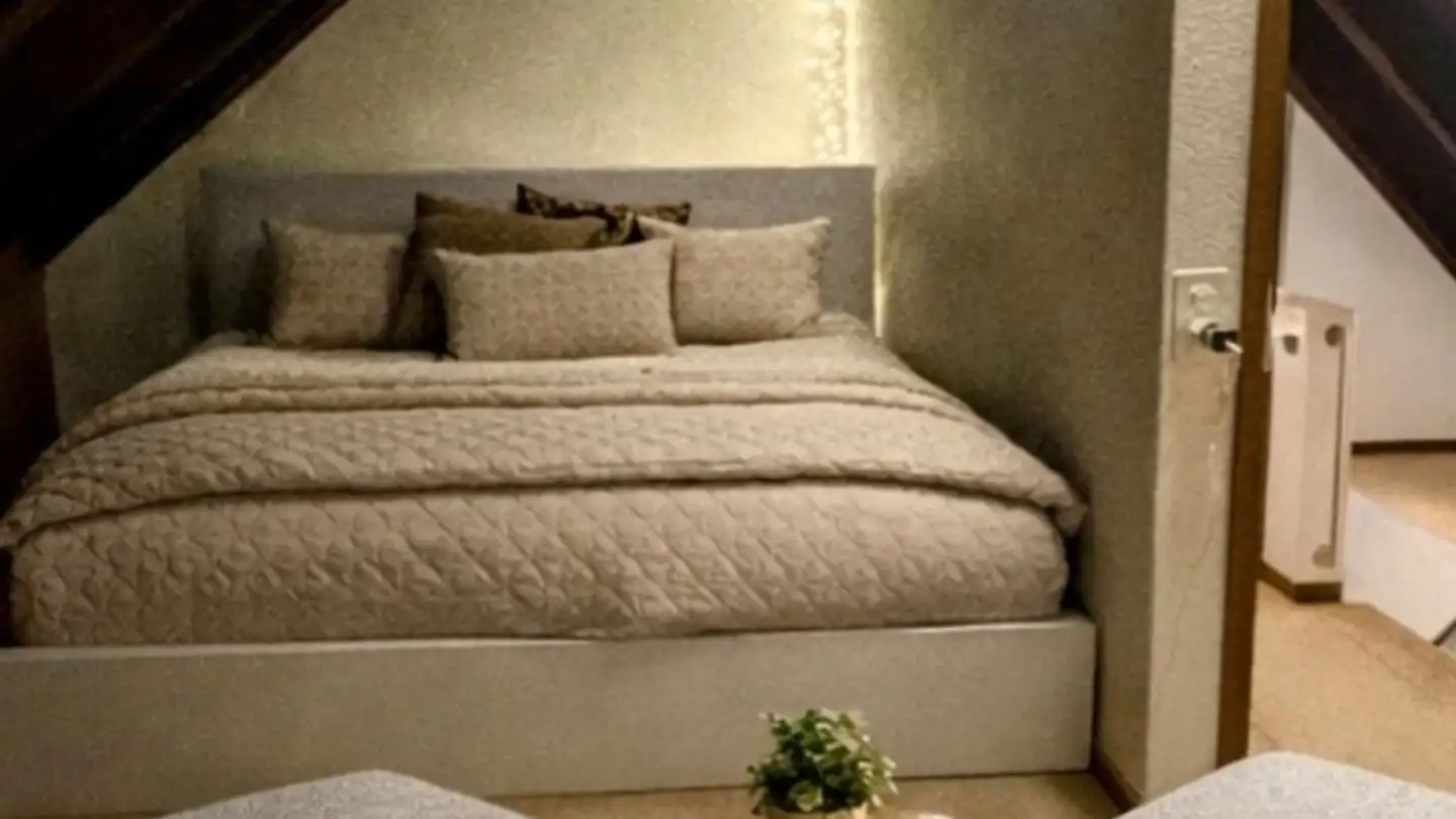 Chambre à louer - 8053 Zürich