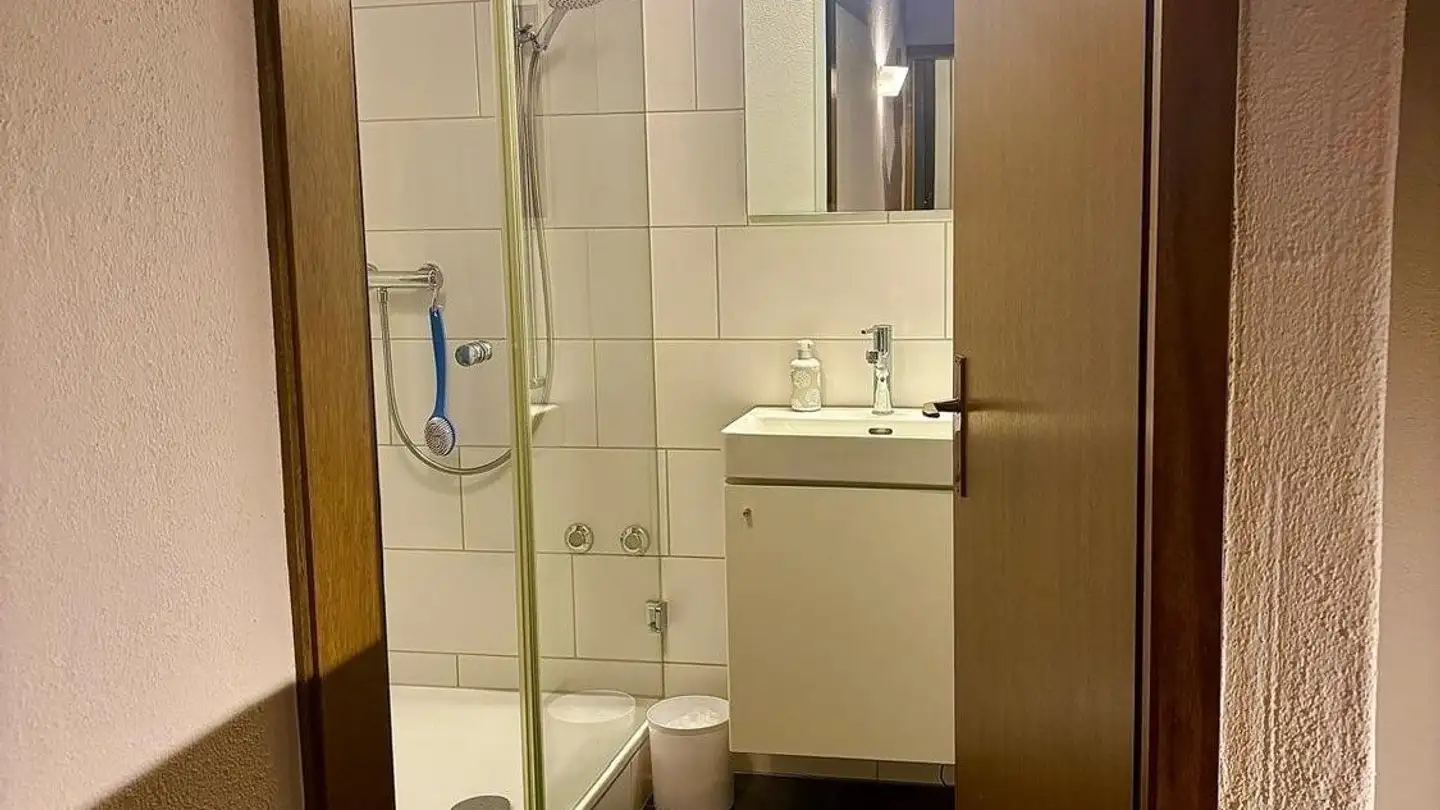 Chambre à louer - 8053 Zürich - Photo 3