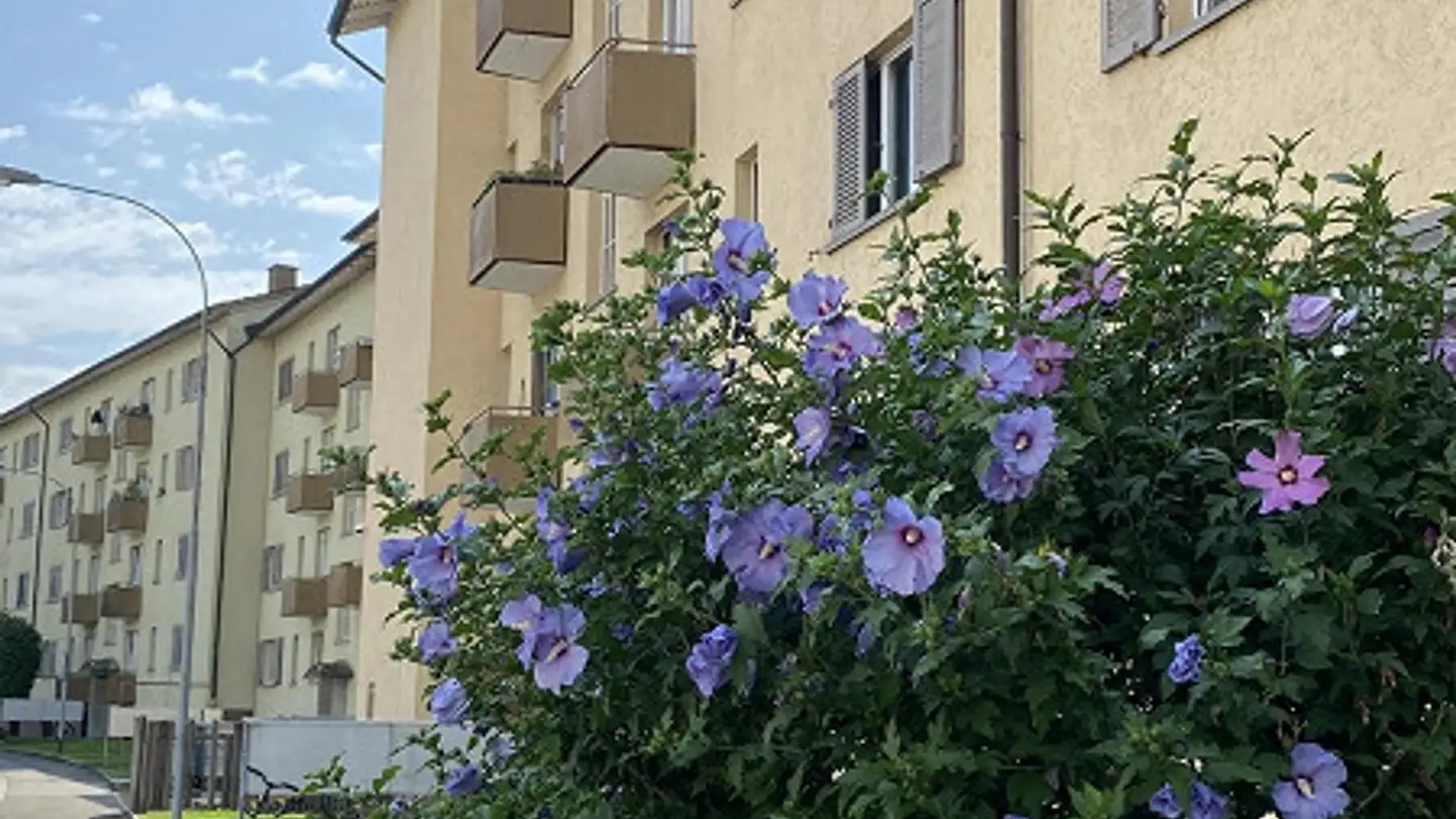 Appartement à louer - Badenerstrasse 54, 8952 Schlieren
