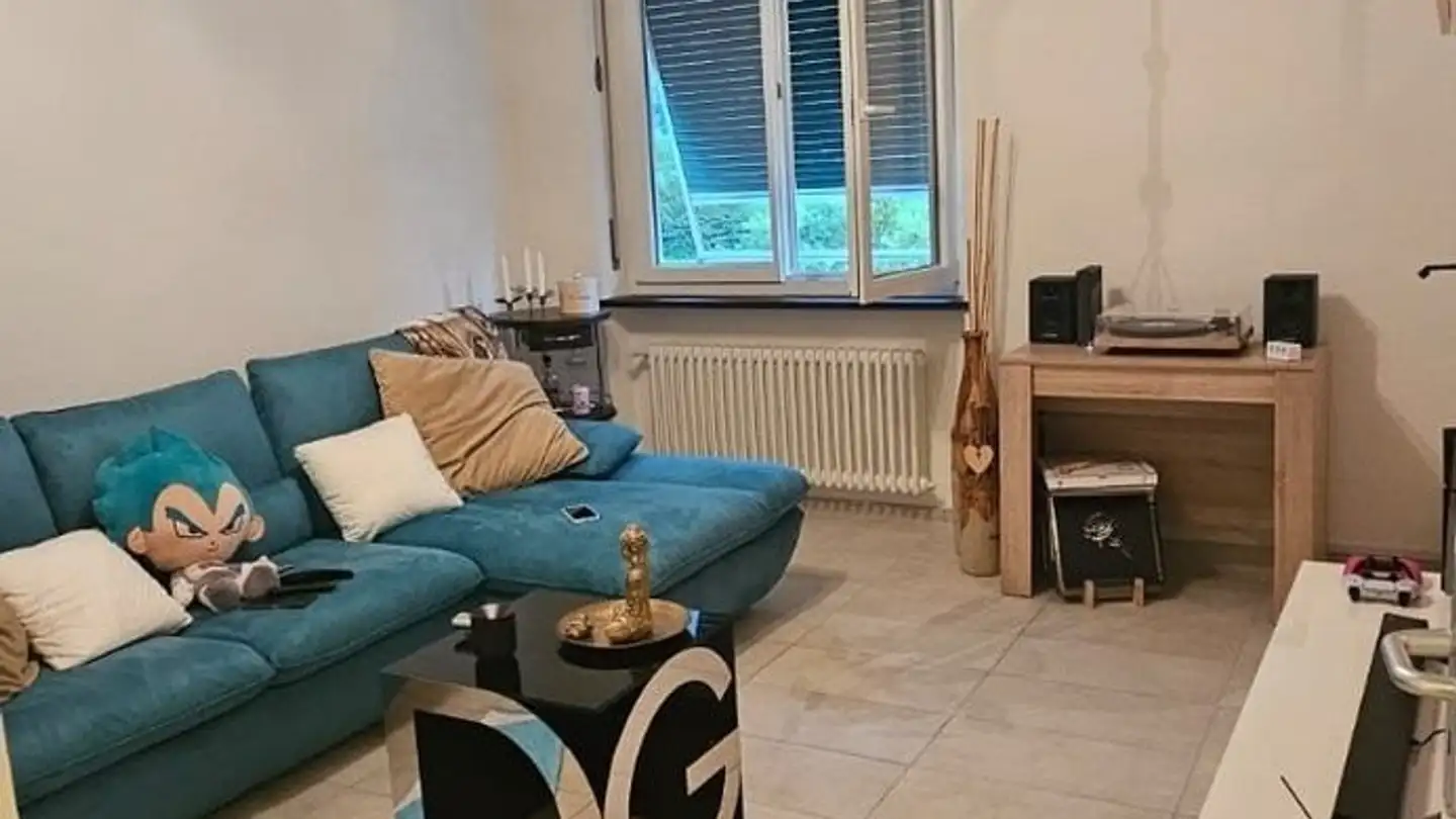 Wohnung mieten - Via San Gottardo, 6745 Giornico - Foto 4