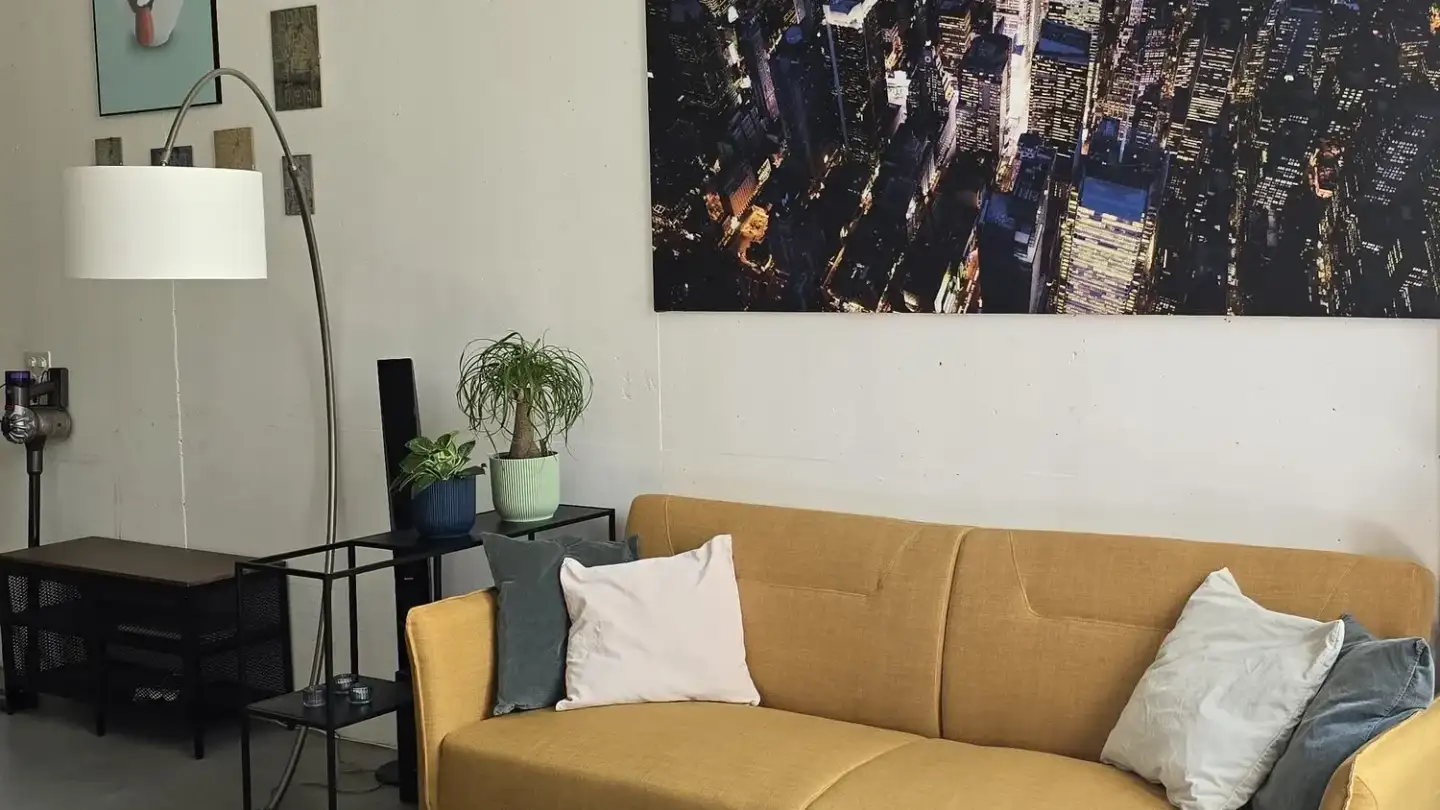 Loft à louer - 8952 Schlieren