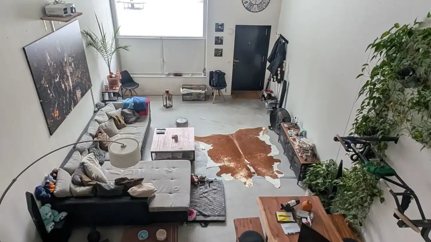 Loft for rent - 8952 Schlieren - Photo 3