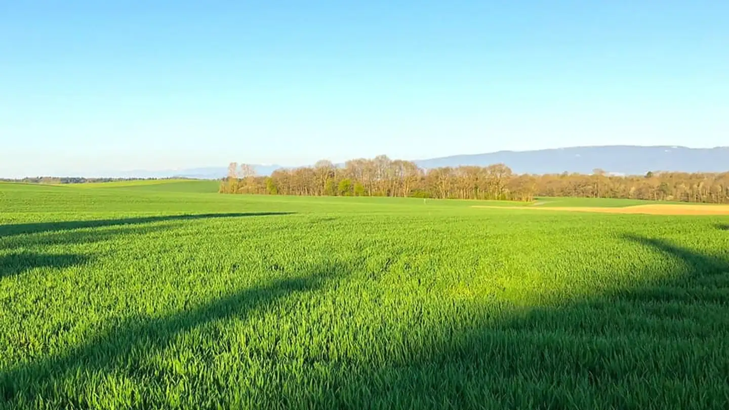 Wohnung kaufen - 1033 Cheseaux-sur-Lausanne