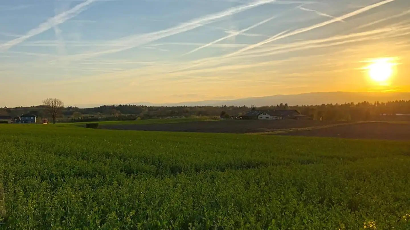 Wohnung kaufen - 1033 Cheseaux-sur-Lausanne - Foto 4