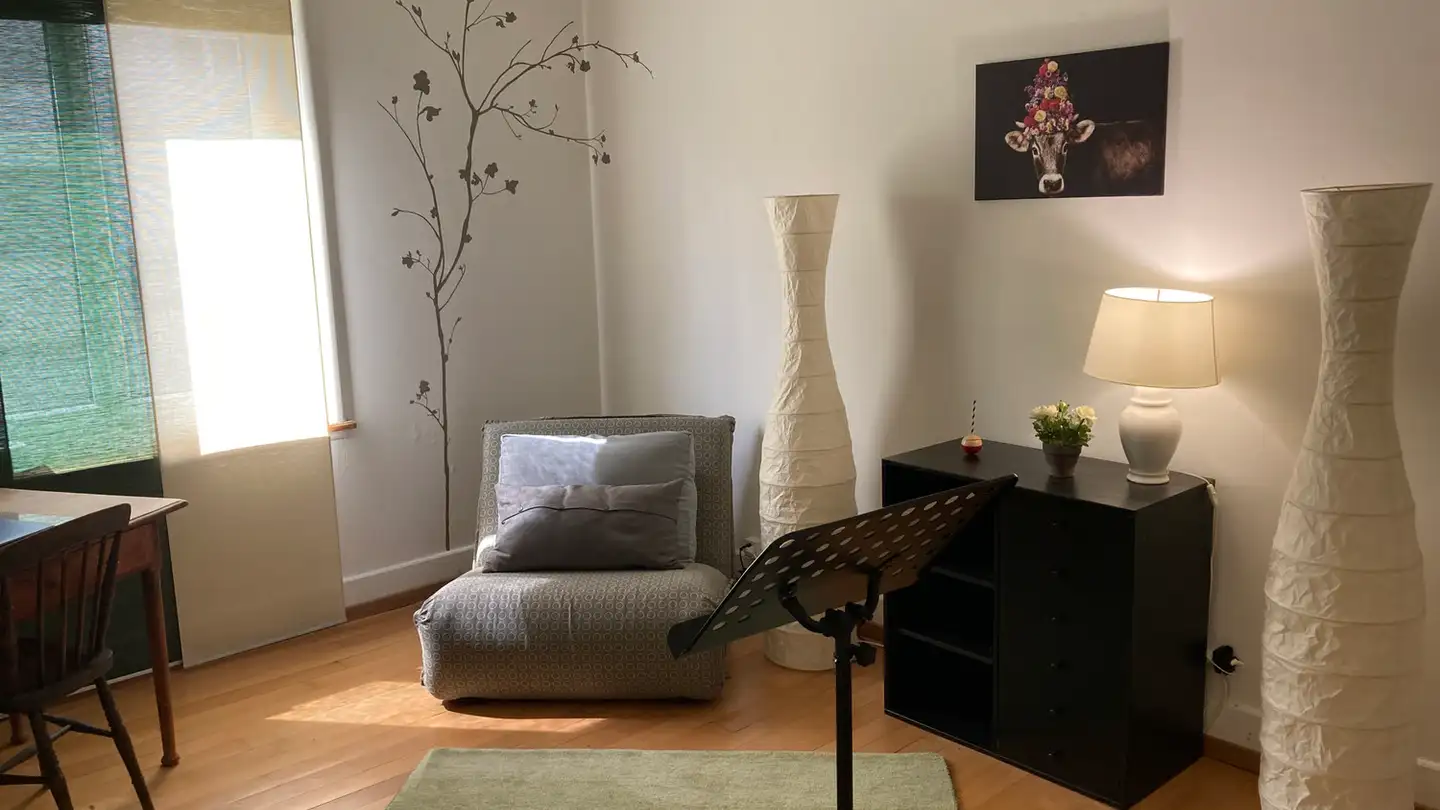 Zimmer mieten - Brauerstrasse 102, 8004 Zürich