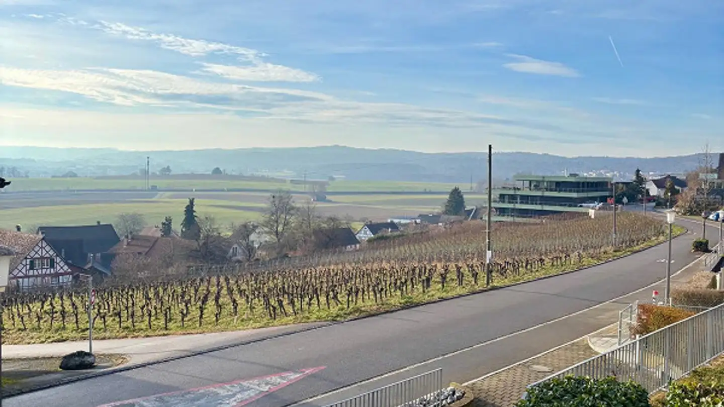 Appartement à louer - Schulstrasse 4c, 8248 Uhwiesen - Photo 2