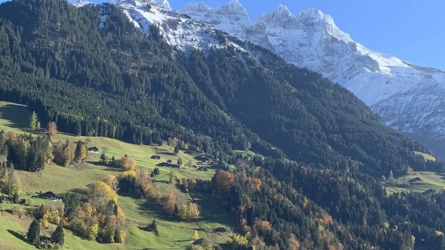 Appartamento in affitto - Chemin De L'au, 1873 Champoussin - Photo 2