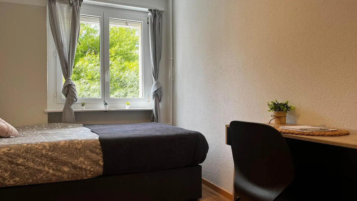 Chambre à louer - Wangenstrasse 4, 8600 Dübendorf - Photo 3