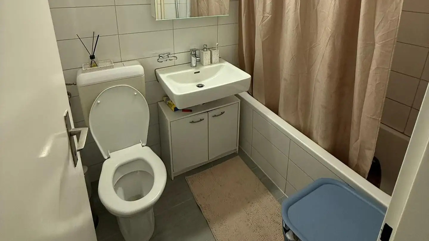 Appartamento in affitto - Leewinkel 19, 8154 Oberglatt ZH - Foto 4