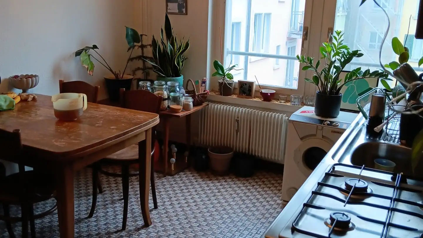 Furnished apartment for rent - Badenerstrasse 653, 8048 Zürich