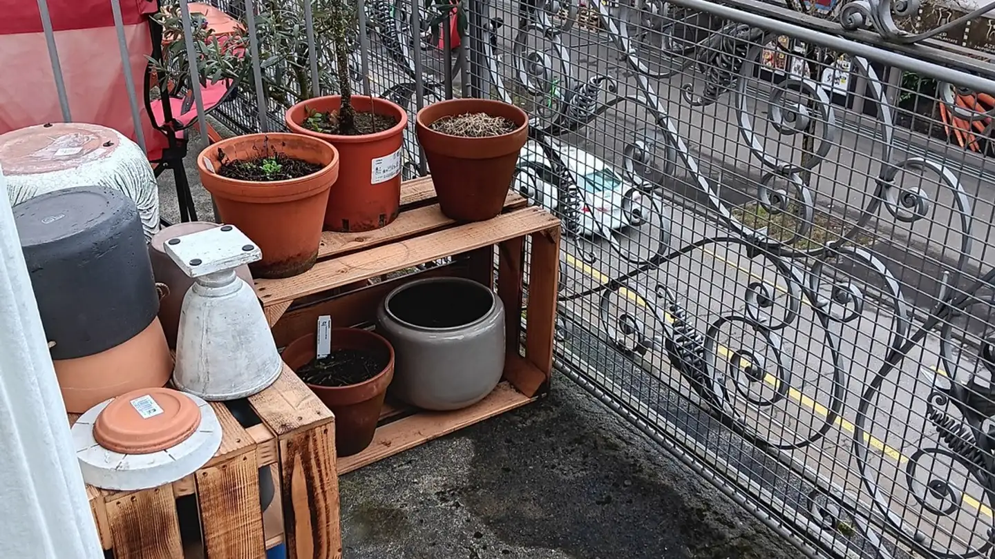 Wohnung mieten - Badenerstrasse 653, 8048 Zürich - Foto 2