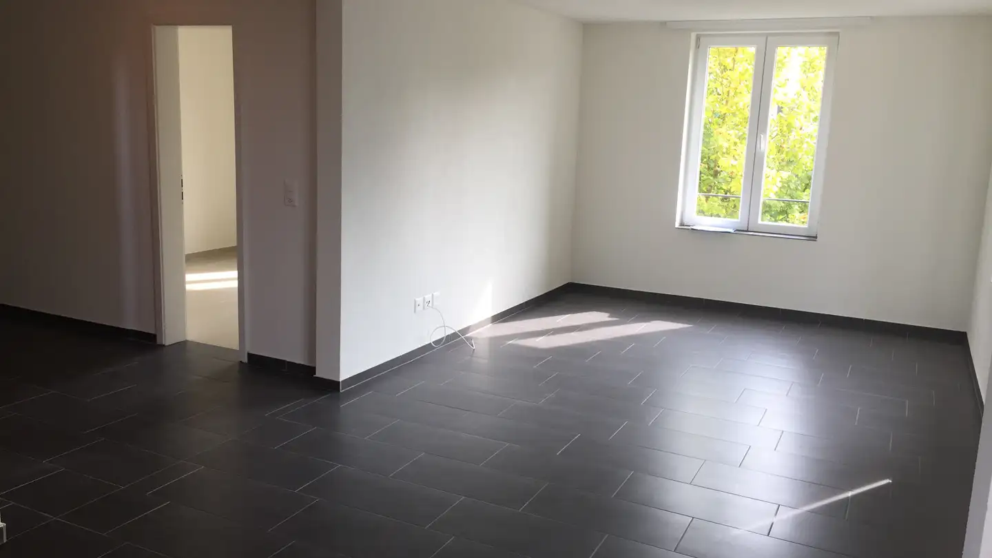 Appartement à louer - Thurfeldstrasse 57, 9215 Schönenberg an der Thur - Photo 2