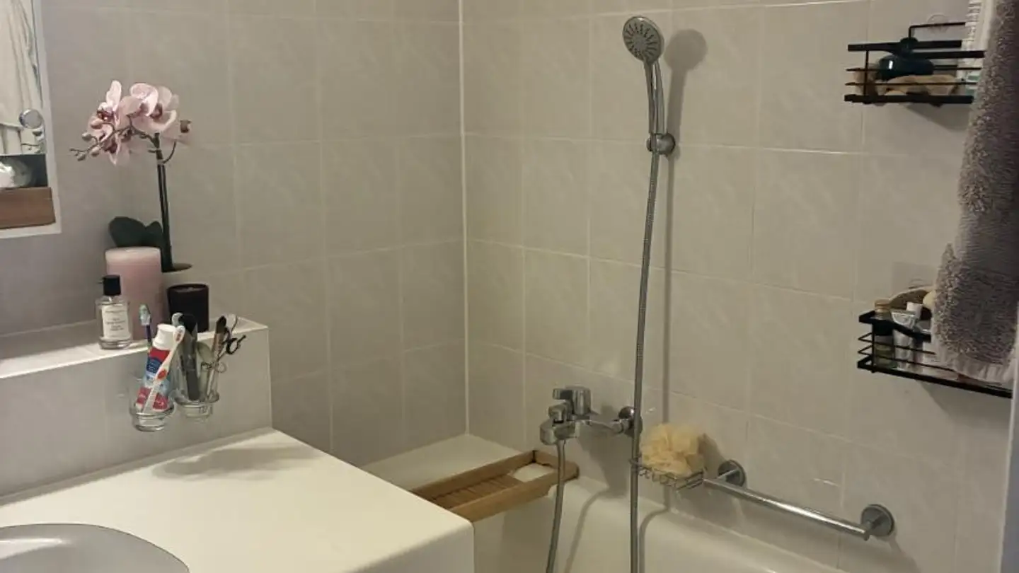 Appartamento in affitto - Rue Daubin 22, 1203 Genève - Foto 2