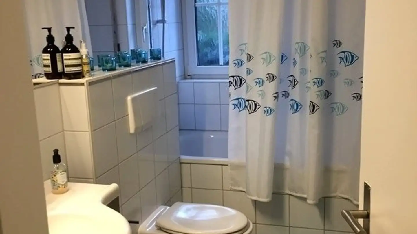 Furnished apartment for rent - 8125 Zollikerberg - Photo 4