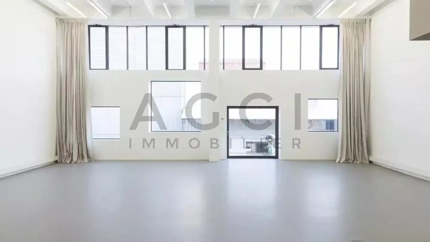 Spazio ufficio in affitto - 1227 Carouge GE