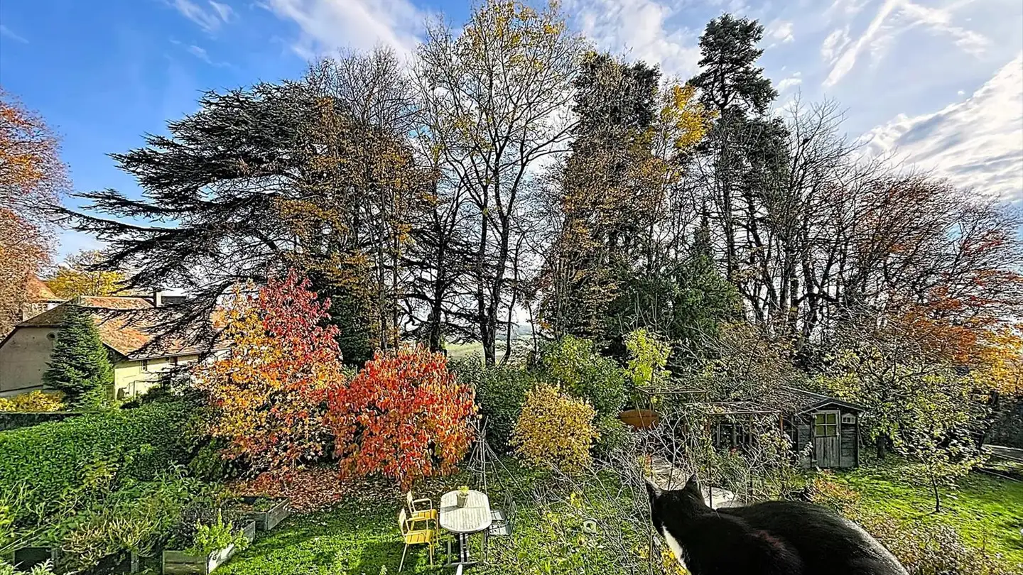 Maison individuelle à vendre - 1170 Aubonne - Photo 2