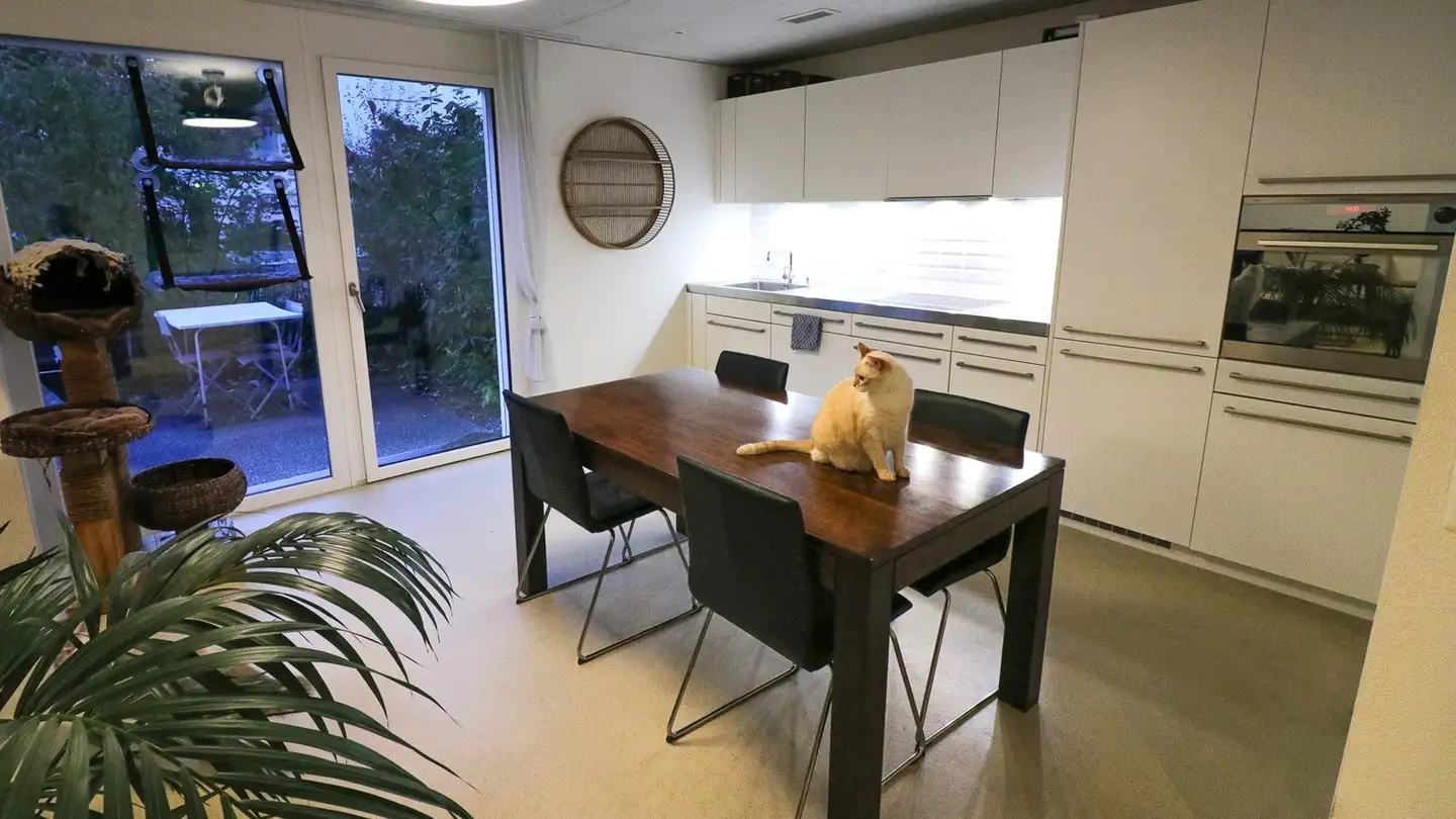 Furnished apartment for rent - 8600 Dübendorf - Photo 4