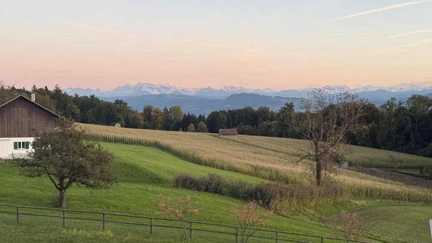 Wohnung kaufen - Bergstrasse 322, 8707 Uetikon am See