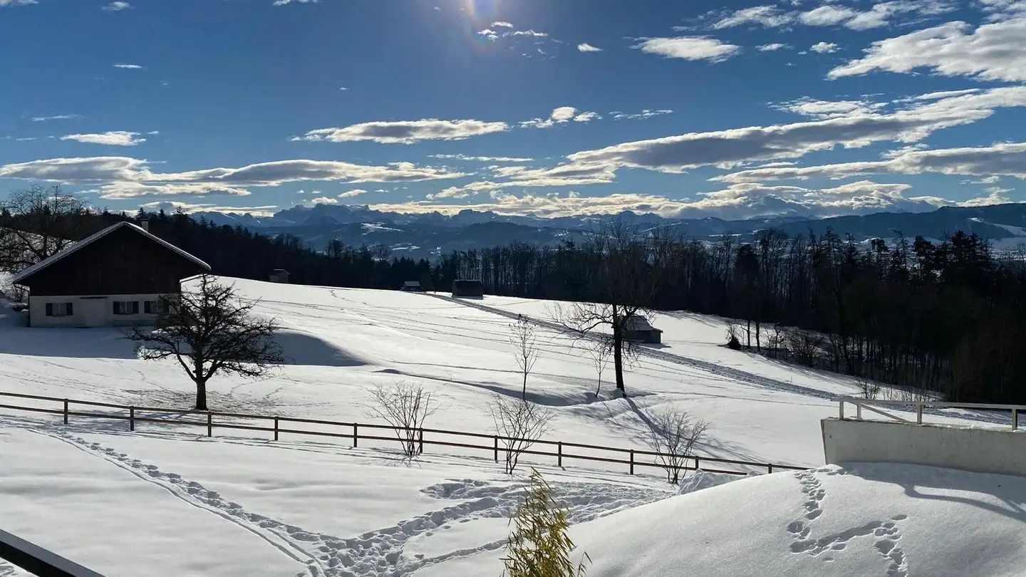 Apartment for sale - Bergstrasse 322, 8707 Uetikon am See