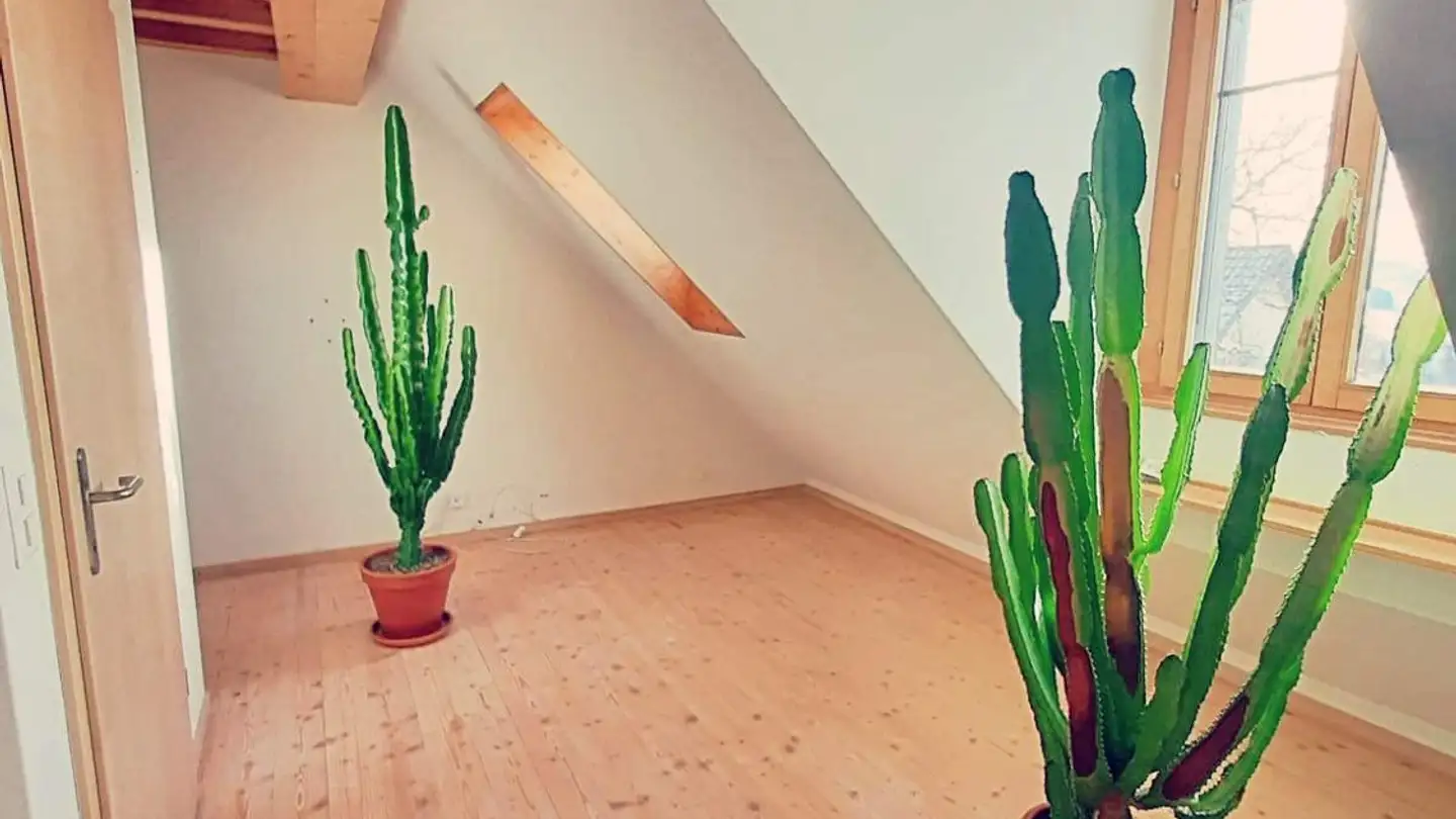 Stanza singola in affitto - Baumgartenweg 5, 8340 Hinwil