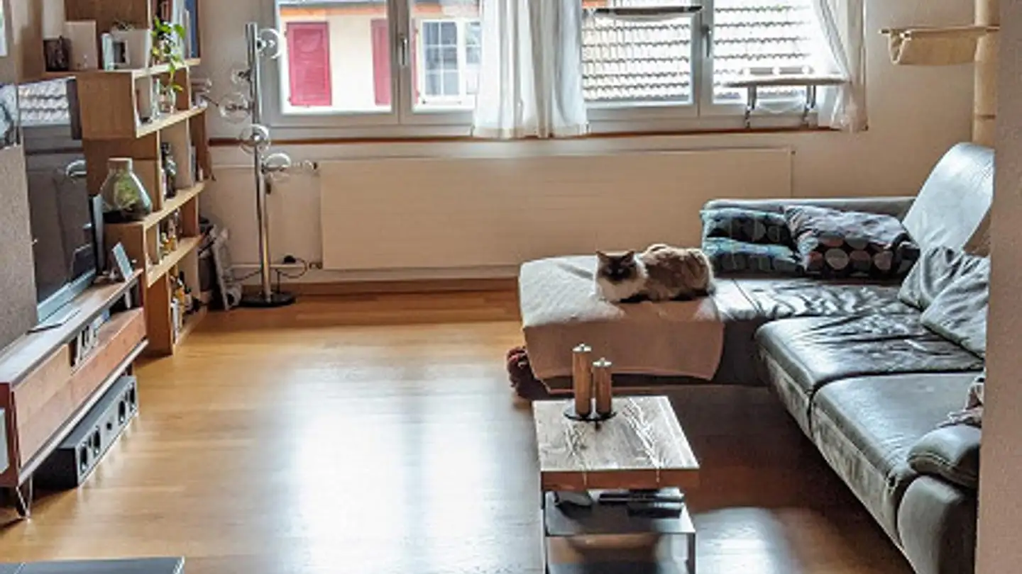 Apartment for rent - Liestalerstrasse 11, 4145 Gempen - Photo 2