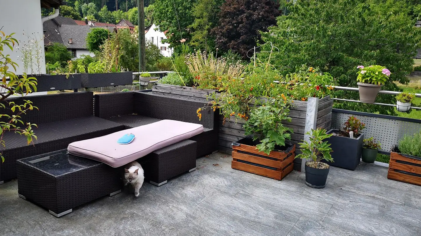 Apartment for rent - Liestalerstrasse 11, 4145 Gempen - Photo 4