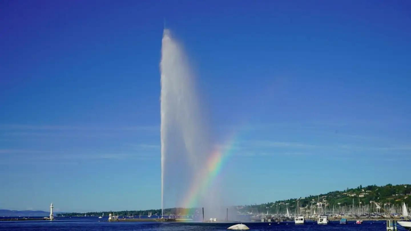Appartement à louer - 1207 Genève