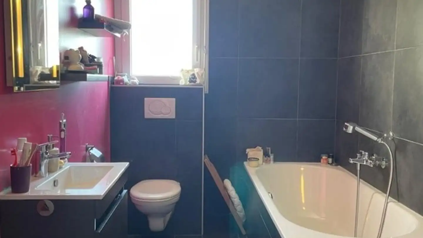 Appartamento in affitto - Chemin De Plaisance 6, 1926 Fully - Photo 4