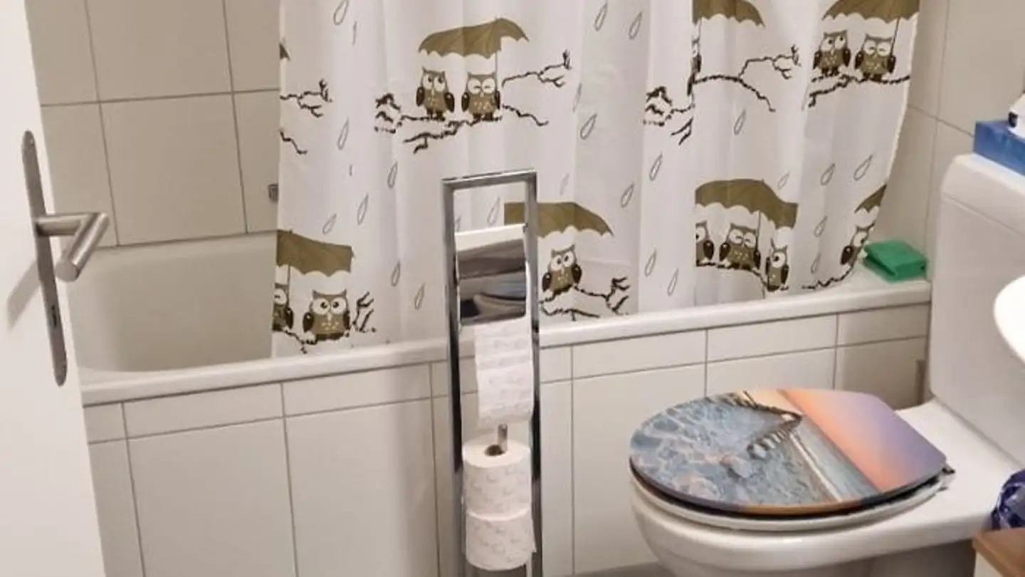 Apartment for rent - 3604 Thun - Photo 4