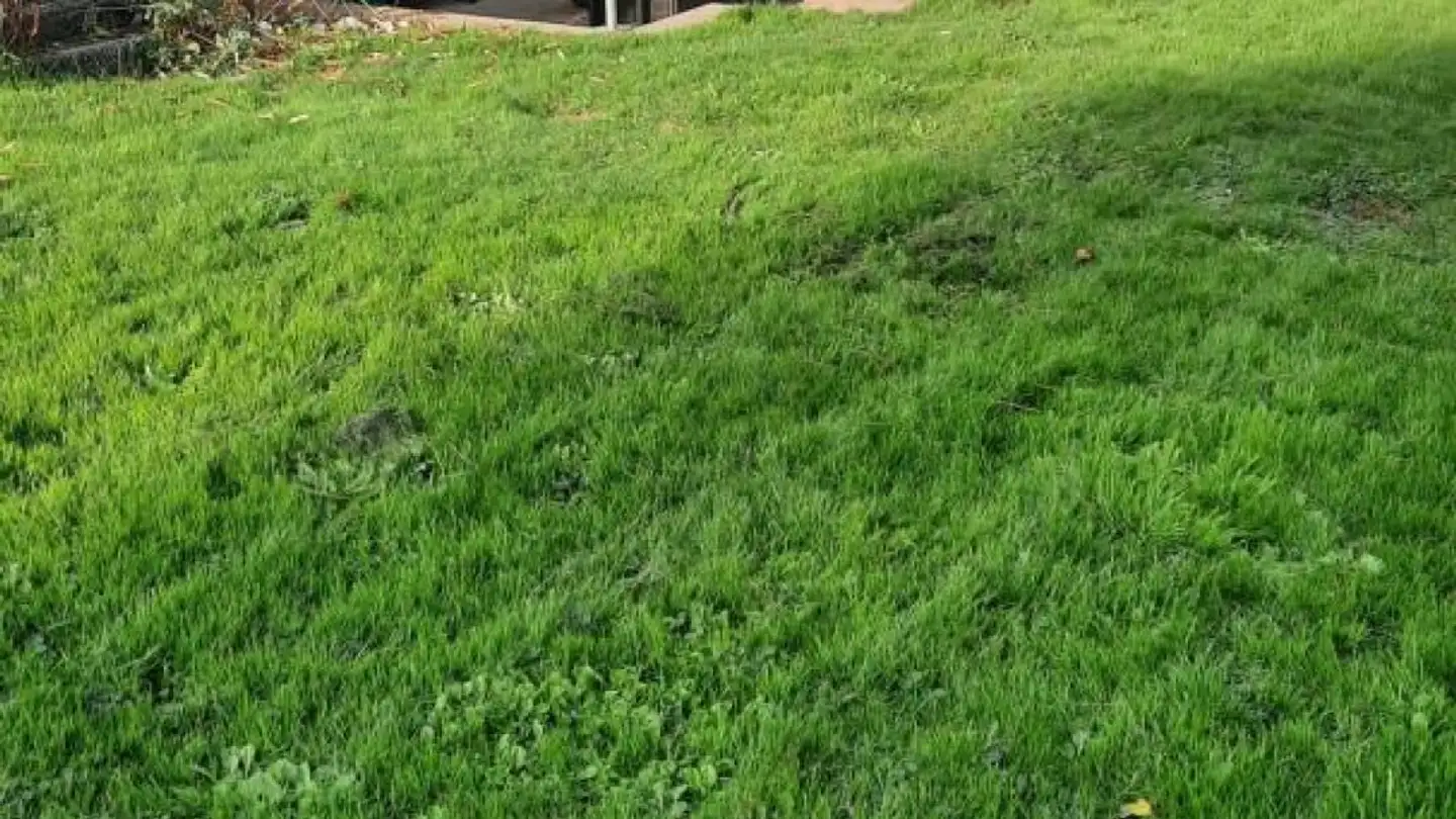 Wohnung mieten - 1566 St-Aubin FR - Foto 3