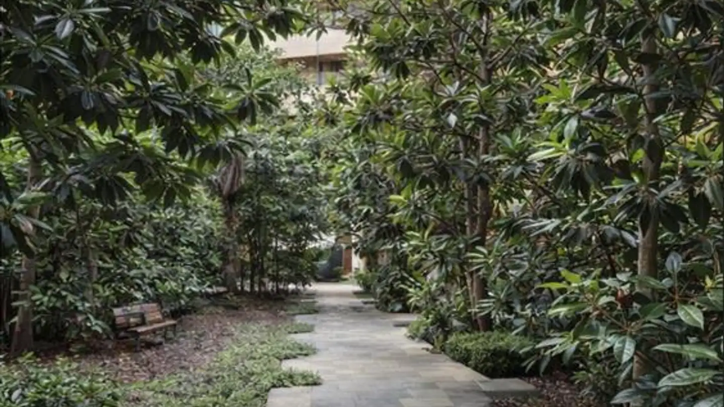 Wohnung mieten - 6005 Luzern - Foto 4